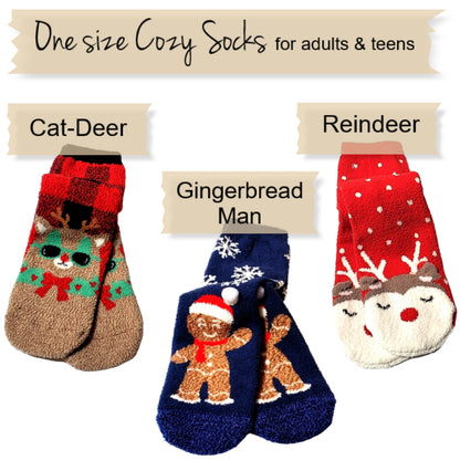 Holiday Socks Gift for Teens