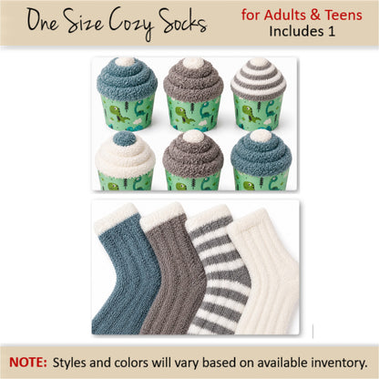 Dinosaur Birthday Party Favors — Cozy Socks Gift